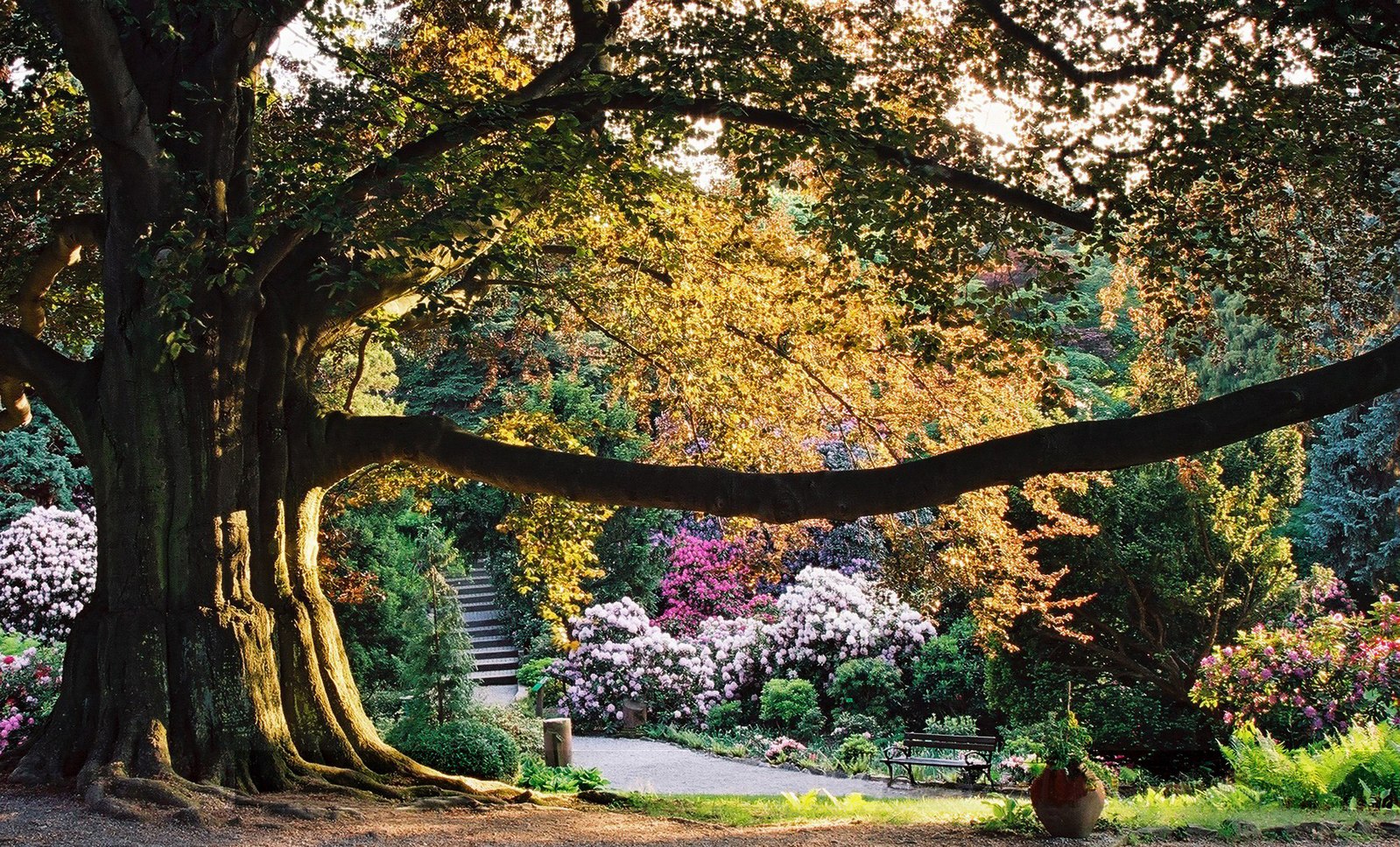 Heart of the Garden