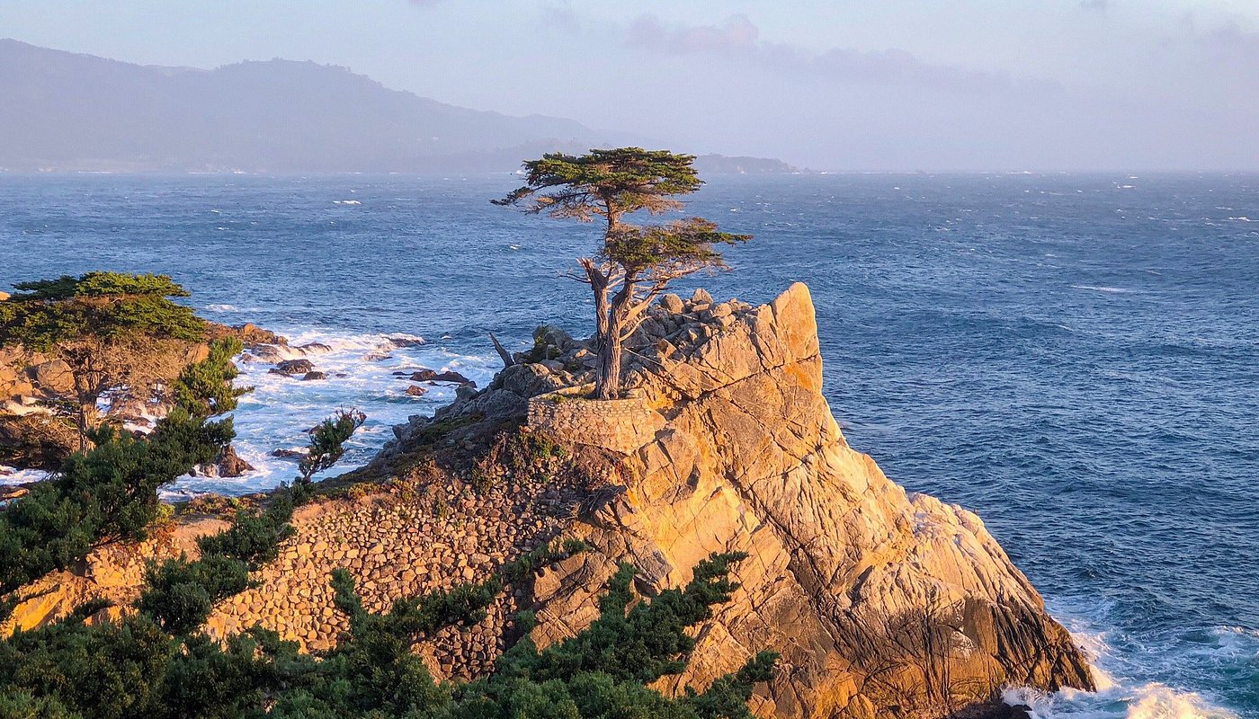 The Lone Cypress - Pebble Beach, California