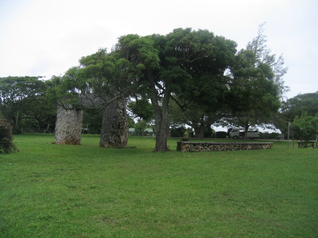 Sentinel of the East: The Tree Beside the Haʻamonga ʻa Maui